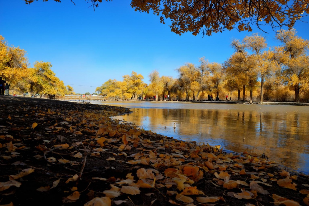 Juyan Lake